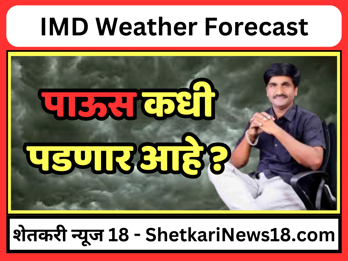 IMD Weather Forecast : 5 दिवसांचा अंदाज महाराष्ट्र; कोणत्या भागात पडणार महाराष्ट्रामध्ये पाऊस ?