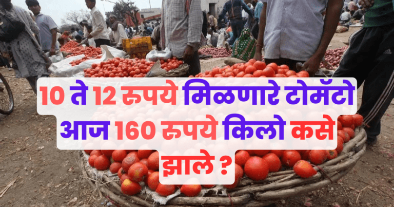 Tomato Price Today Hike : १० ते १२ रुपये मिळणारे टोमॅटो आज 160 रुपये किलो कसे झाले ?